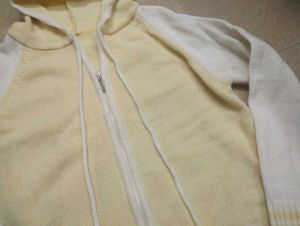 woolen hoodie with zipper