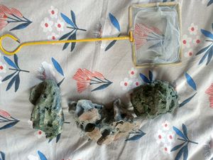 Aquarium Stone With Small Fish Net, Connector,Air