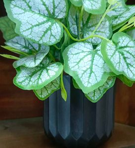 Artificial Plant in Black Pot