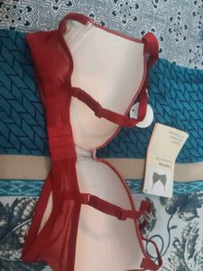 Zivame Padded Bra