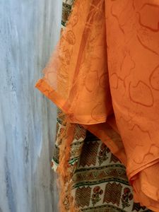 Geometry Design Saree