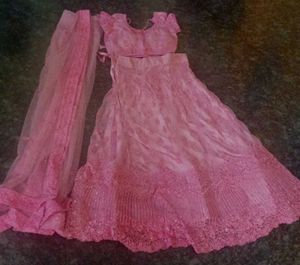 Neted Pink Lehenga Choli Set