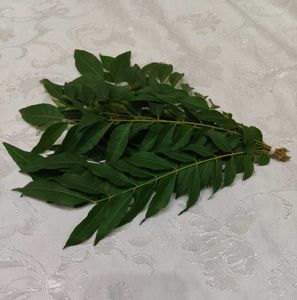 Fresh Curry Leaves 10 Stems