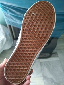 Vans Shoe