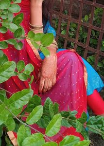 Red &amp; Gold Embellished Dupatta