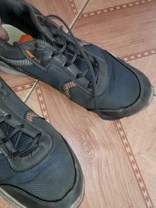 Sports Shoes