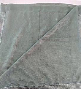 Green Sequence Saree With Blouse (Women)