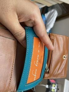 Baggit Brown Wallet
