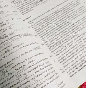 Important Subject Matter ISC English practice