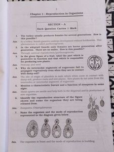Trueman Subjective Question Bank Biology Class 12