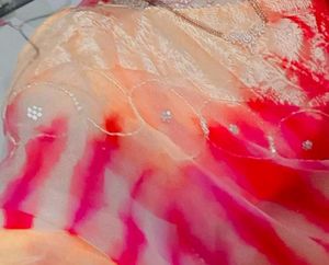 Organza Saari 1 Time Use Only Best Fsfric