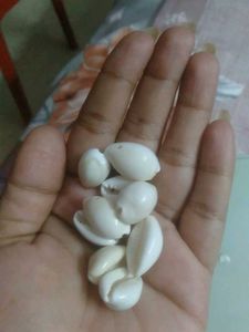 Cowrie Shell Beads