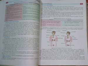 Dinesh Biology XACT Class X