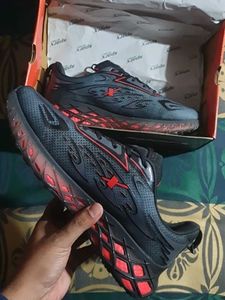 Sparx Sport Shoes Brand New