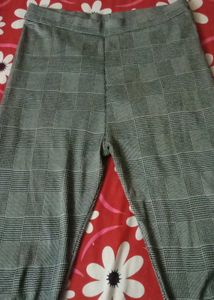 Jagging Pant