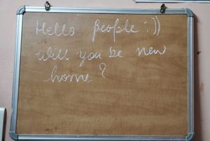 Green &amp; White Memo &amp; Chalk Board