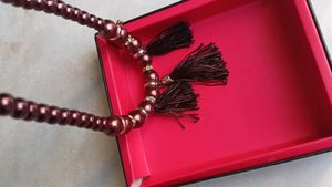 Elegant Gold-Toned Necklace 2 Piece