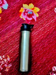 Stainless Steel Bottle