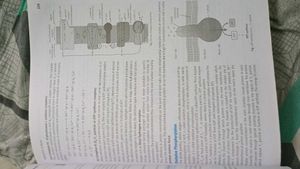 MTG 100 Percent Biology CBSE Class 11