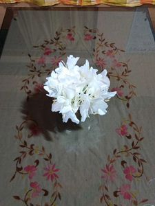 Dolon Chapa Flower Plant