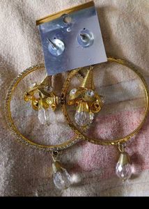 BEAUTIFUL Amazing Earinges