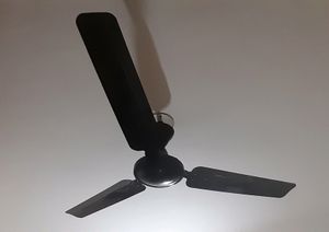 Crompton Ceiling Fan