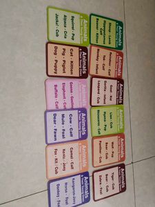 Animal Flash Cards - Water Magic