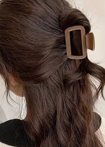 Hair Clip Bundle combo of 5 clutches
