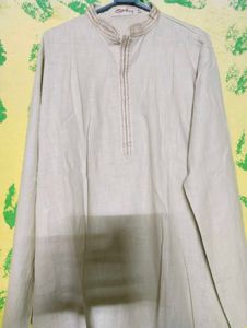 Light Green Ethnic Cotton Kurta for Men