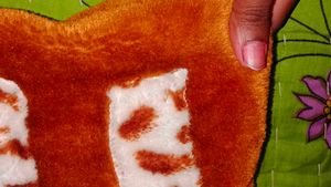 Cute Baby Bag
