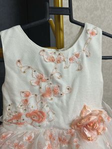 Net Embroidery Frock