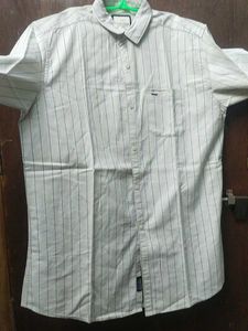 Regular Shirt With Striped Long Sleeve ButtonDown