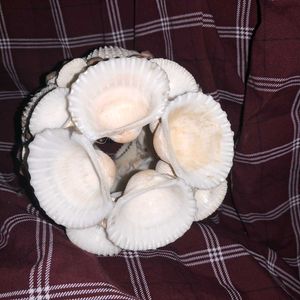 VINTAGE SEASHELL POT