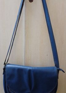 Baggit Bag