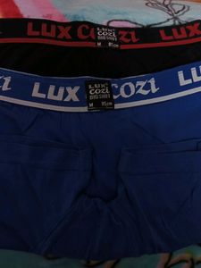 Men Trunk Pants ( Combo Of 2)