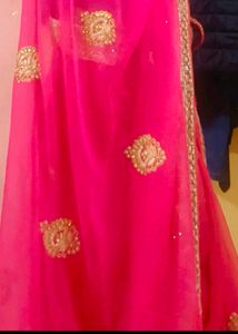 Beautiful Saree Without Blouse