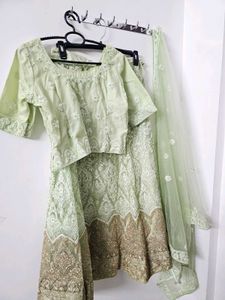 Elegant Pastel Green Embroidered Lehenga Set