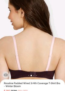 Zivame Padded Wired T Shirt Bra