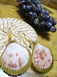 Handmade Seashell Earrings