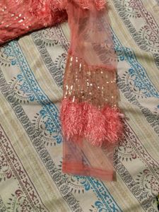 Peach Embellished Lehnga Choli