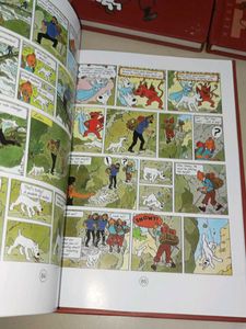 Tintin Comic Book Set
