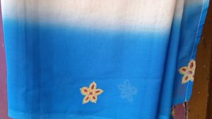 Beautiful Saree 💙