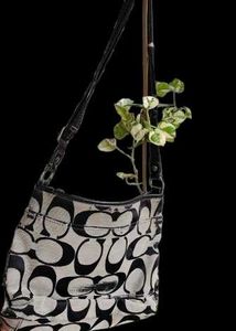 Coach Hobo Bag