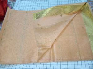 Beautiful Saree ✨✨