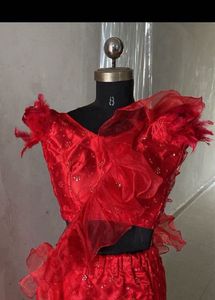 Elegant Red Embellished Lehenga Choli