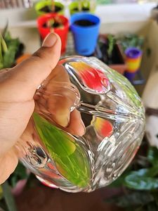Walther Glass Bowl On Sale