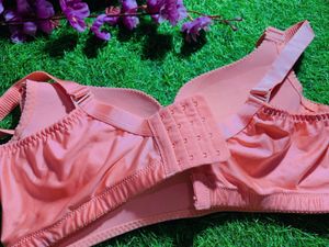 34 /36 Size Padded