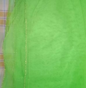 Colorful net Dupatta pack of 5