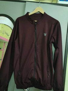 Burgundy Casual Jacket