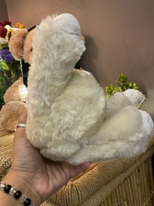 Cute Stuffed Teddy Bear